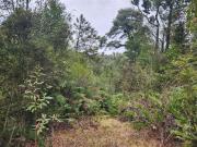 Parcela en Venta en Fundo La Cumbre