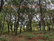 Parcela en Venta en Goian Lugo
