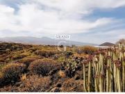 Parcela en Venta en Granadilla de Abona, Santa Cruz de...
