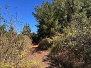 Parcela en venta en HUALQUI