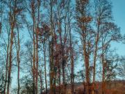 Parcela en Venta en Huicapi