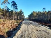 Parcela en Venta en HUICHA LT 1