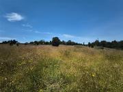 Parcela en Venta en Huicha Pucatu