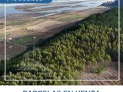 Parcela en Venta en Iloca