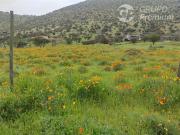 Parcela en Venta en Isabel Riquelme