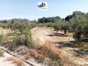 Parcela en venta en Jaén, Puente jontoya