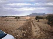 Parcela en Venta en Jumilla, Murcia
