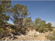 Parcela en Venta en Jumilla, Murcia