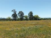 Parcela en Venta en Kilómetro 4 del Camino 2 Norte, en...