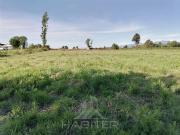 Parcela en Venta en Km 10,5 Montaña de Teno