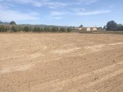 Parcela en venta en La Hoya Almendricos Purias