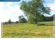 Parcela en Venta en La Junta