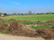 Parcela en venta en LAMPA