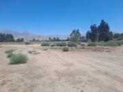 Parcela en venta en LAMPA