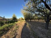 Parcela en Venta en Las Palomas con Ramón Subercaseaux