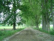 Parcela en venta en LINARES