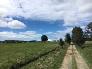 Parcela en venta en LLANQUIHUE