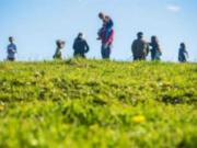 Parcela en venta en LLANQUIHUE