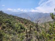 Parcela en venta en LO BARNECHEA