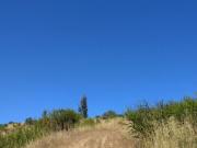 Parcela en Venta en Lo Hidalgo