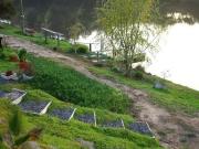 Parcela en Venta en Lomas de San antonio, camino a Codigua