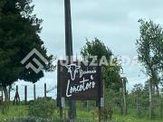 Parcela en Venta en Loncotoro