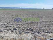 Parcela en venta en Lorca, La Hoya Almendricos Purias