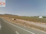 Parcela en venta en Lorca, Purias