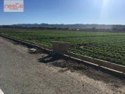 Parcela en venta en Lorca, Purias