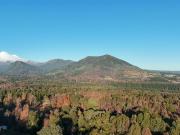 Parcela en Venta en LOS AVELLANOS