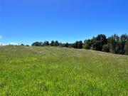 Parcela en Venta en Los Muermos