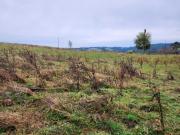 Parcela en venta en LOS MUERMOS