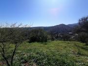 Parcela en Venta en Los Perales, sector La Retuca,...