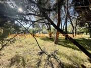 Parcela en Venta en Los Torrentes, Valencia