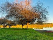 Parcela en Venta en Loteo Aires del Sur, Sector...