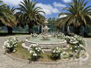 Parcela en Venta en Loteo Barros Negros, fundo el Asilo