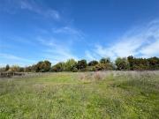 Parcela en Venta en Loteo San Pedreo