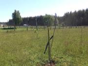 Parcela en venta en MAFIL