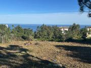 Parcela en venta en Manilva Málaga