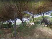 Parcela en Venta en Marbella, Málaga Parcela en Venta en Marbella, Málaga