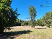 Parcela en Venta en Marina Ensenada