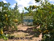 Parcela en venta en Mazarrón Murcia