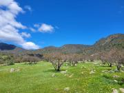 Parcela en venta en MELIPILLA