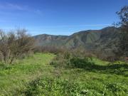 Parcela en Venta en Miraflores Alto, Curacaví