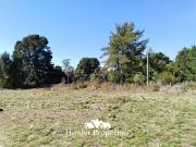 Parcela en Venta en Molco, camino Villarrica Pucón