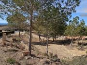 Parcela en venta en Molina de Segura, Altorreal