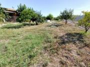 Parcela en venta en Molina de Segura, Huerta Arriba
