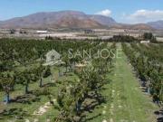 Parcela en venta en Monforte del Cid, ESPEJERAS