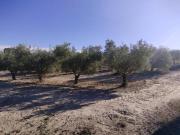 Parcela en venta en Moratalla, Moratalla