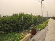 Parcela en venta en Murcia, Llano de Brujas